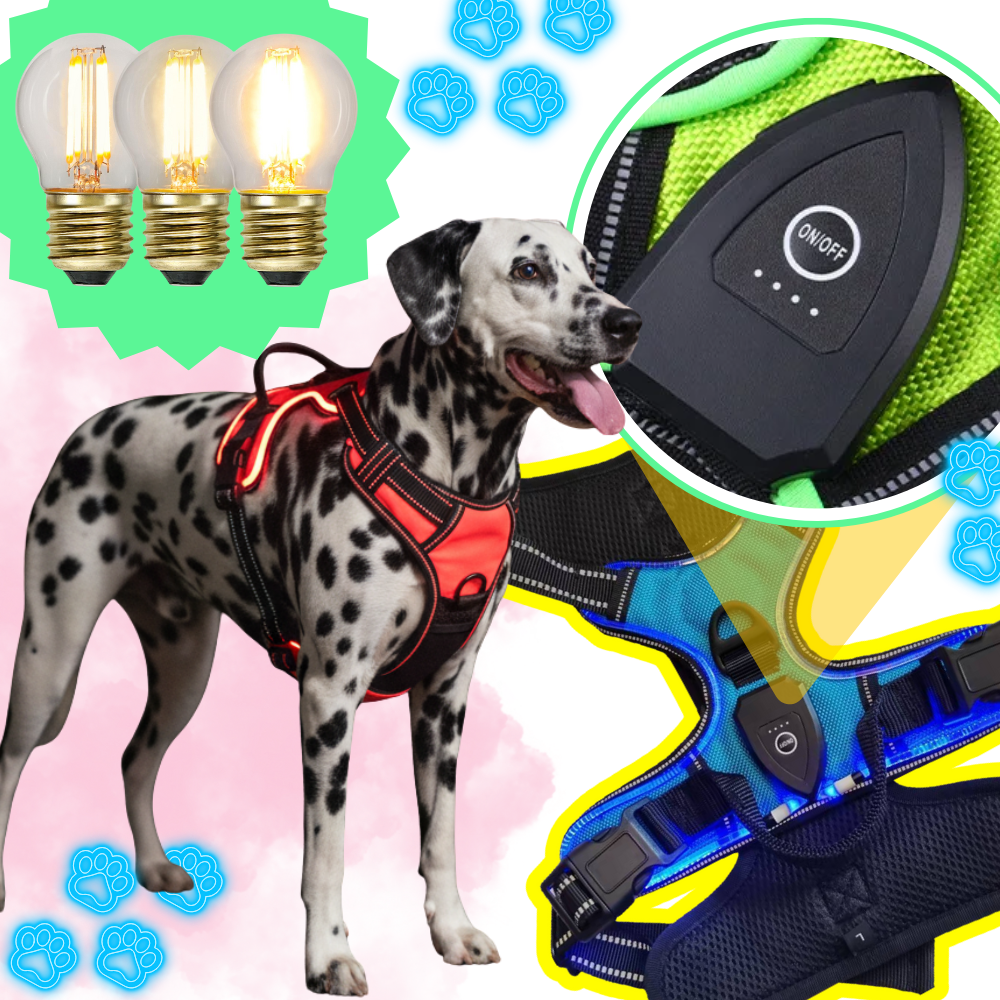 Illuminate Dog Harness with No-Pull Control
