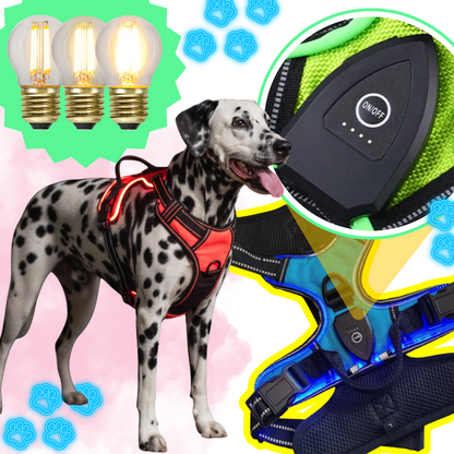 Illuminate Dog Harness with No-Pull Control