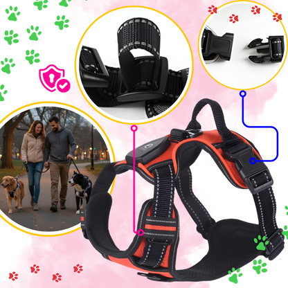 Illuminate Dog Harness with No-Pull Control