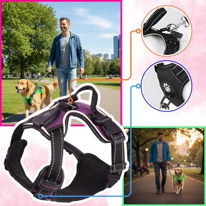 Illuminate Dog Harness with No-Pull Control