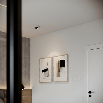 Swiveling Ceiling Light – Stylish Design for Versatile Illumination