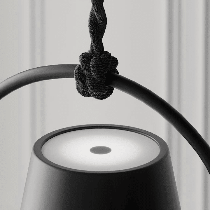 Versatile Pendant Light for Indoor and Outdoor Illumination