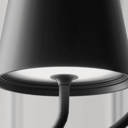 Versatile Pendant Light for Indoor and Outdoor Illumination