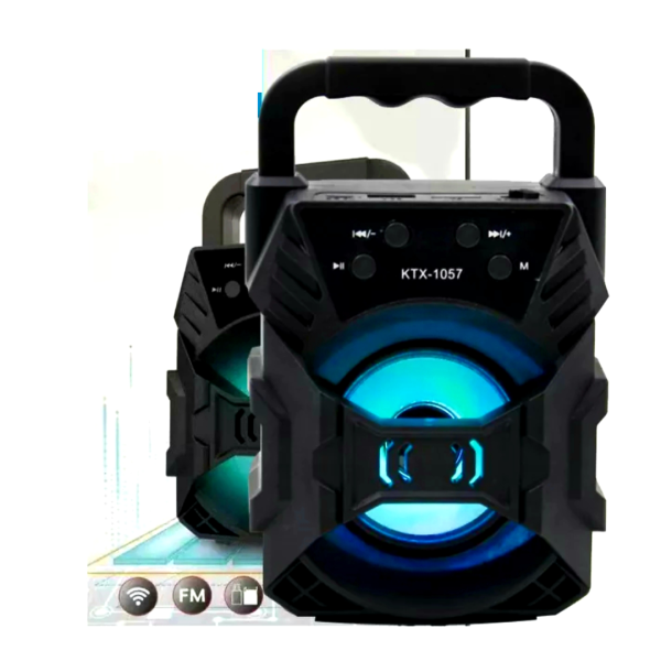 Wireless Bluetooth Speaker with FM, USB Connectivity and Light Display