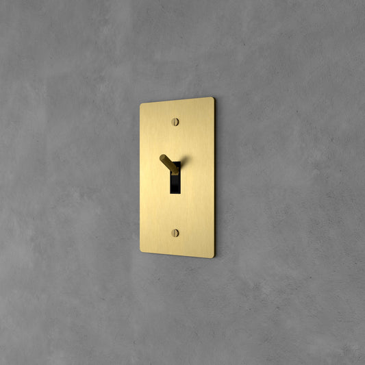 Brass Rocker Switch