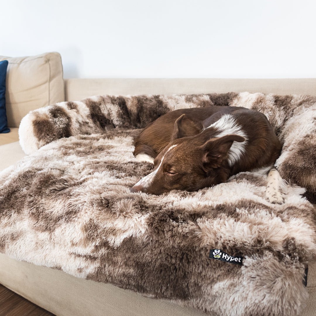 Washable, Warm, and Waterproof Autumn Cushion for Your Dog