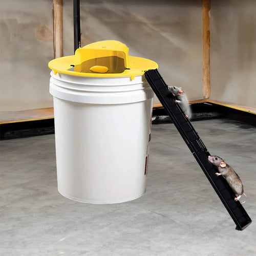 Humane Multi-Catch Bucket Mouse Trap with Auto Reset Feature