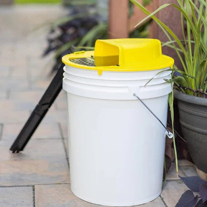 Humane Multi-Catch Bucket Mouse Trap with Auto Reset Feature