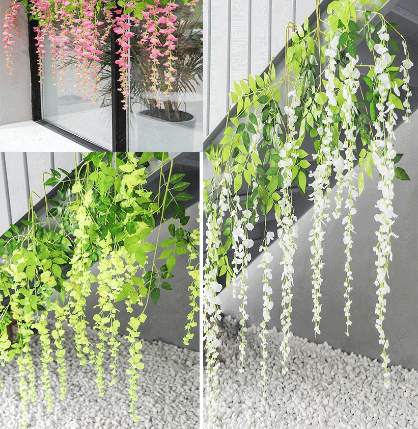 Vibrant, Lush Wisteria Plant that Requires No Watering