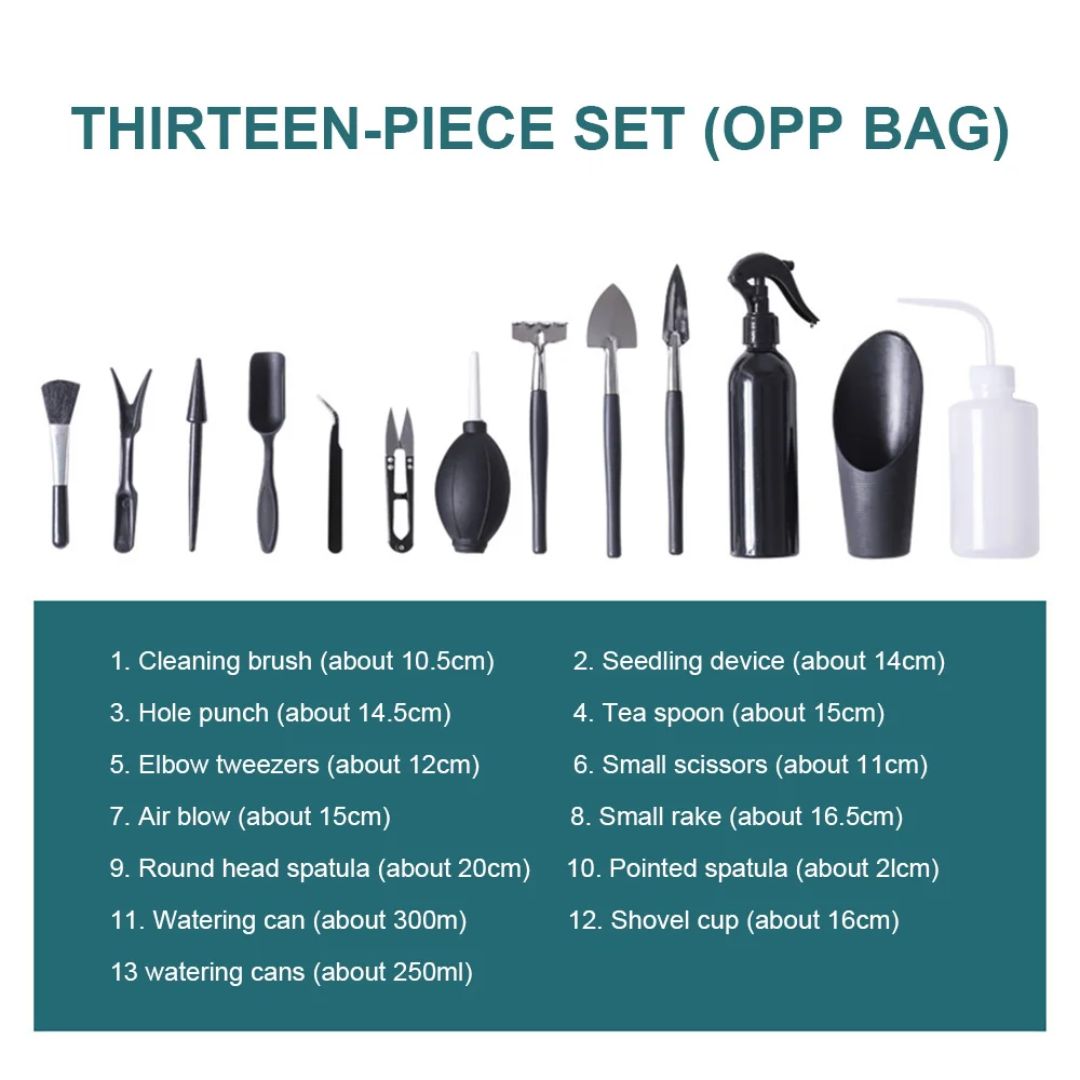 Indoor Gardening Kit – Grow Fresh Greens in Small Spaces