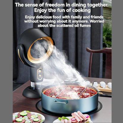 Portable Air Purifier Fan with Ion Technology and USB Charger