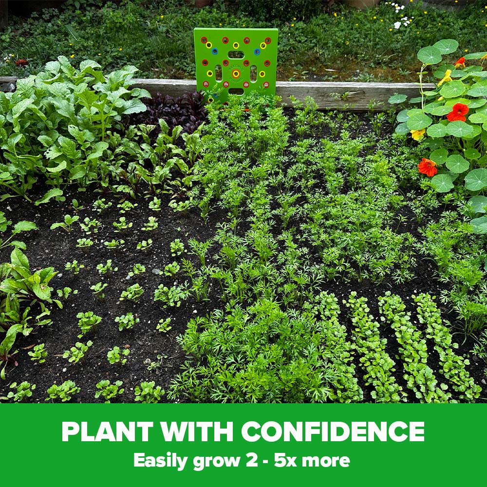 Garden Bed Planting Solution for Bigger, Healthier Yields