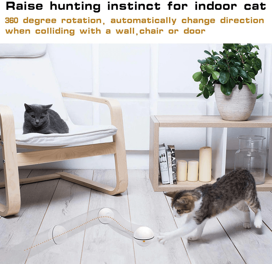 Interactive Smart Ball for Pets