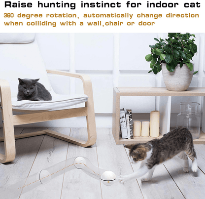 Interactive Smart Ball for Pets