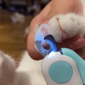 BrightClaw™ LED Pet Nail Clippers for Safe Grooming