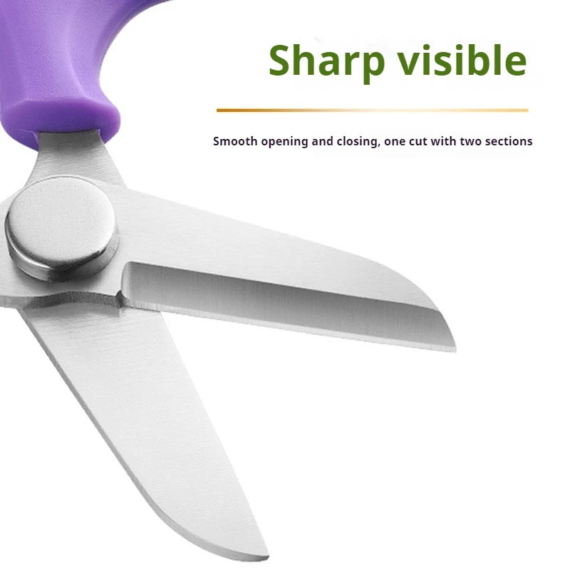 Professional Garden Shears with Ergonomic Handle - Precision Flower Pruner
