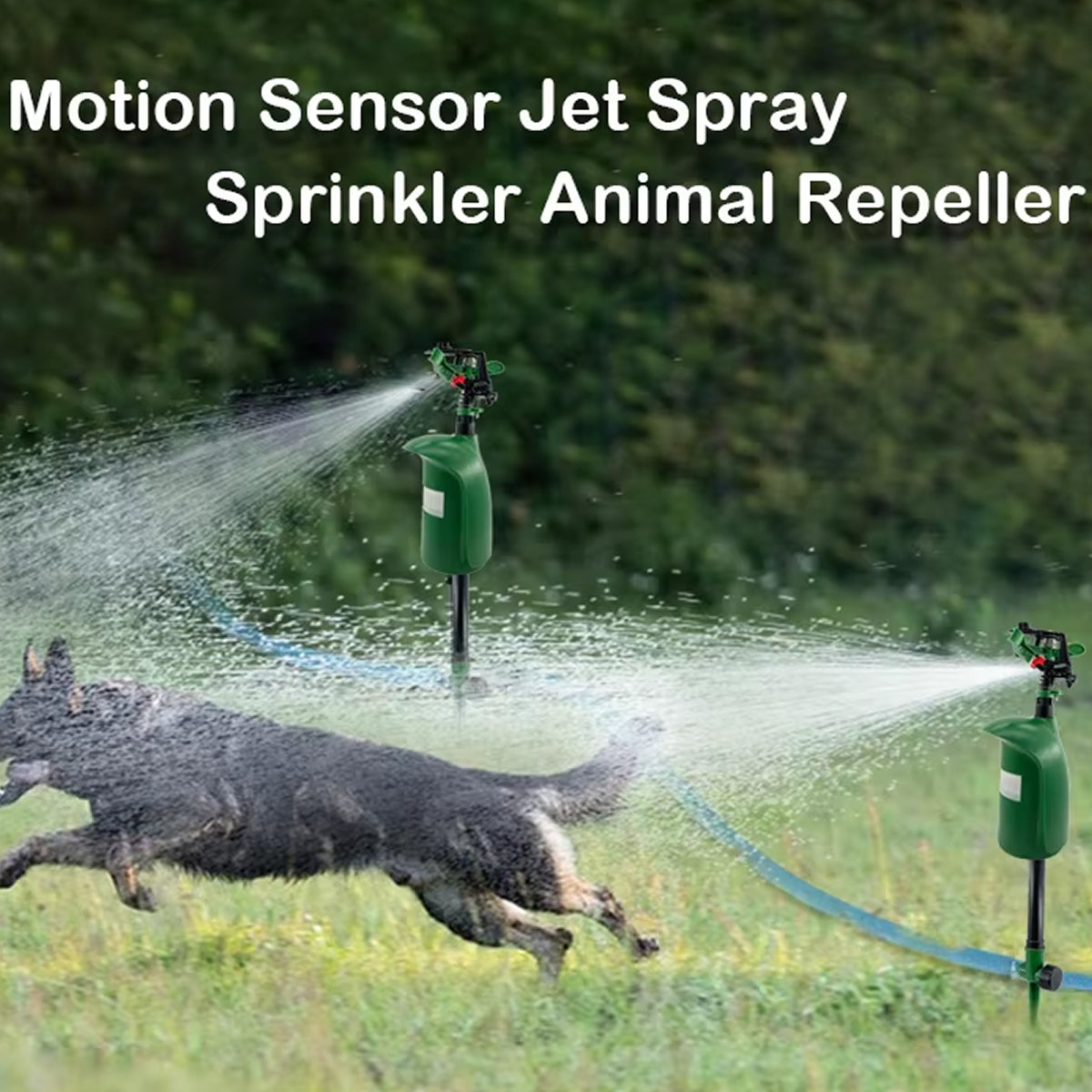 Spray Applicator for Various Uses
