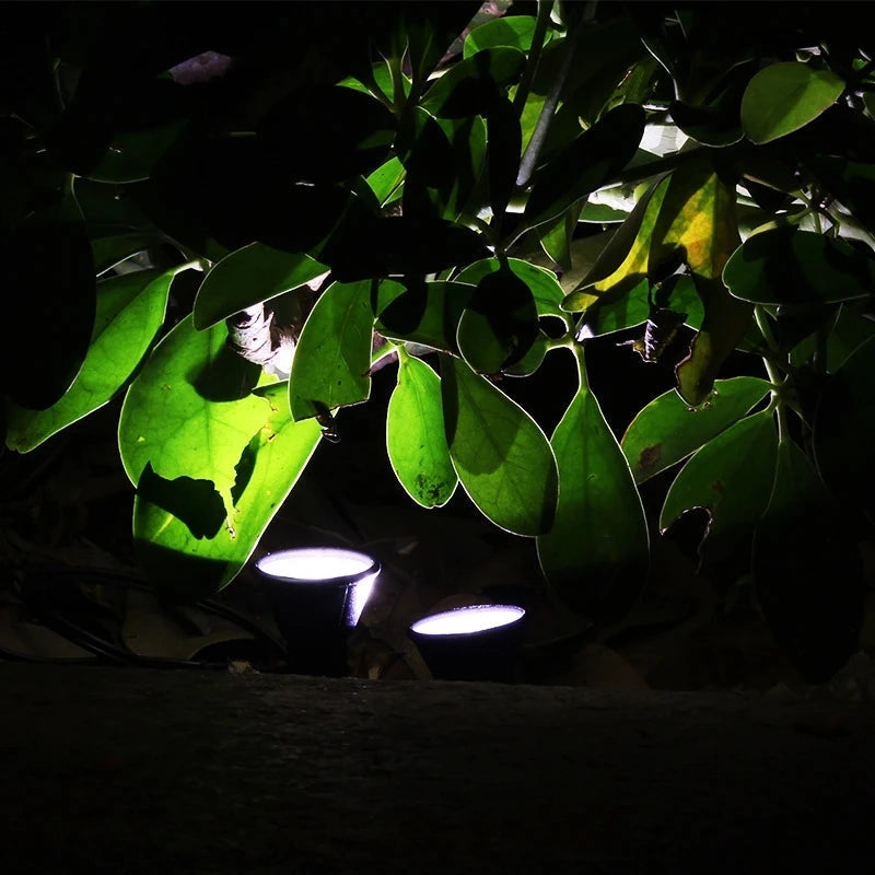 Solar Garden Lights | LED Pathway Illumination for Lawn & Patio | IP65 Waterproof