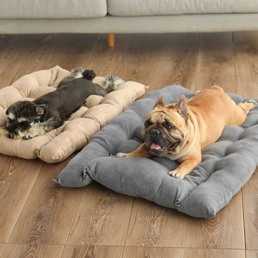 3-in-1 Pet Bed for Warmth and Comfort