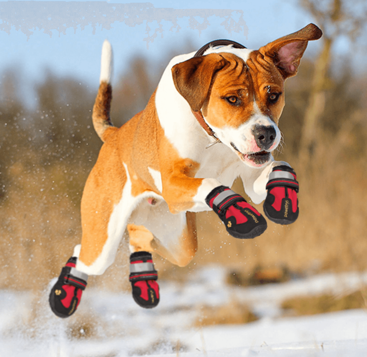 Waterproof Non-Slip Dog Boots - Ideal Protection