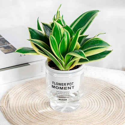 Effortless Watering System for Succulents - Aqua Planter