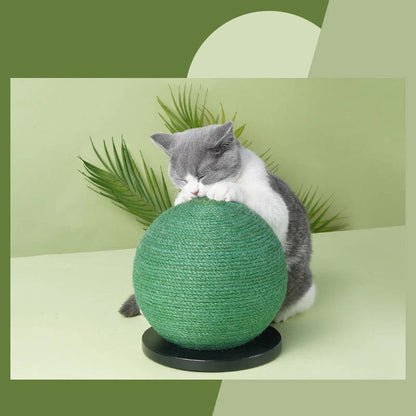 Create a Custom Safe Space for Pets Anywhere