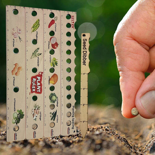 Plant Spacing and Depth Guide for Thriving Growth