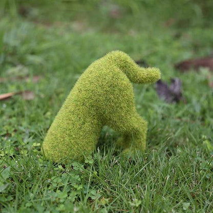 Transform Your Garden into a Lush Oasis Instantly