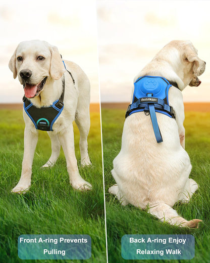 Dog Harness with Retractable Leash Set – All-in-One Solution