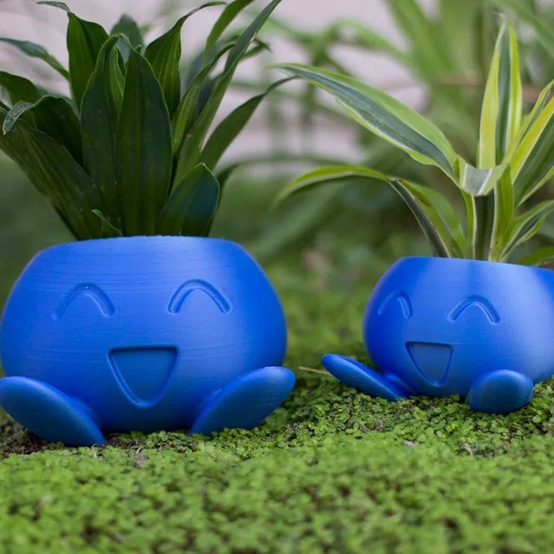 Brighten Any Room with Fun and Healthy Plant Display