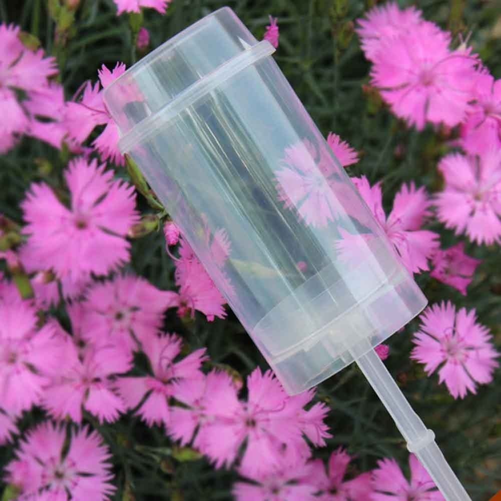 Push Up Cupcake Containers for Cake Pops - Set of 50