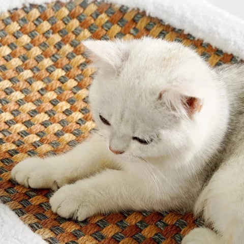 Heated Cat Lounge Bed with Scratch-Proof Sisal Center