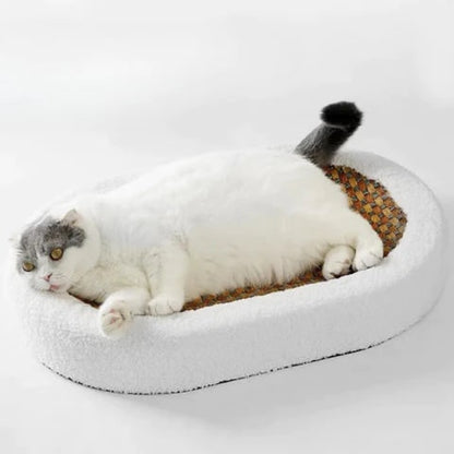 Heated Cat Lounge Bed with Scratch-Proof Sisal Center
