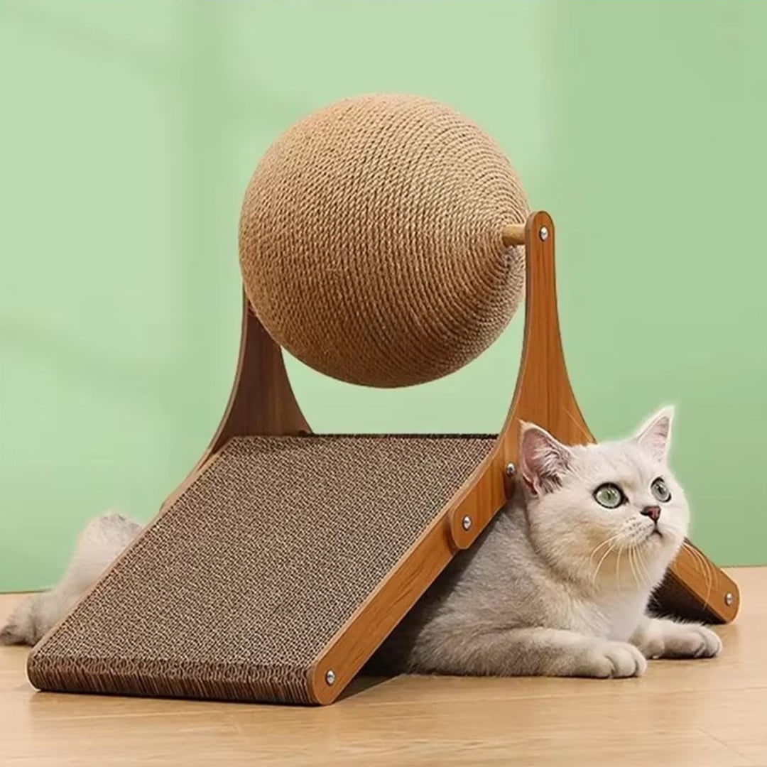 Dynamic Kitty Claw and Play Station with Cardboard Ramp