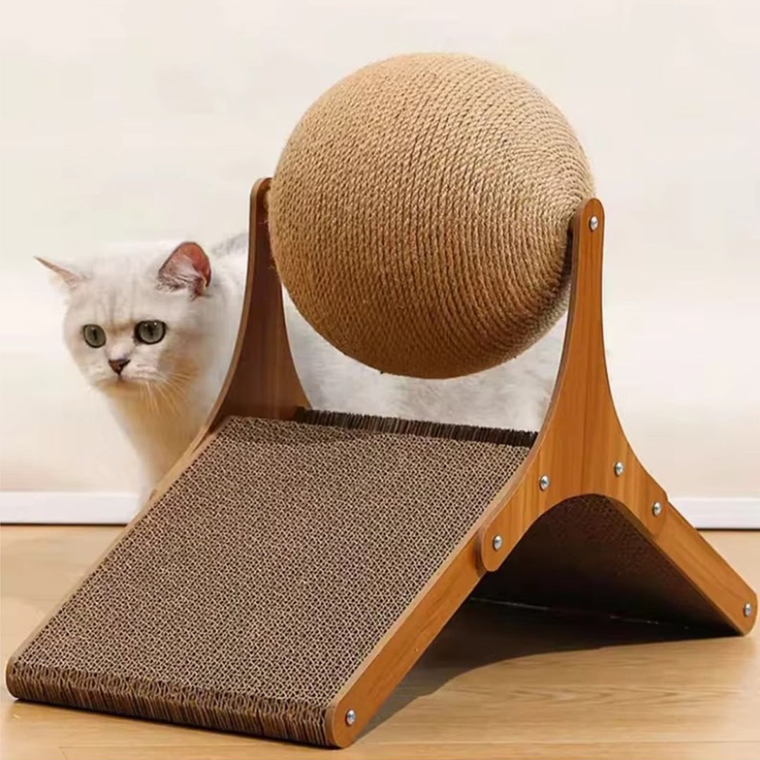 Dynamic Kitty Claw and Play Station with Cardboard Ramp