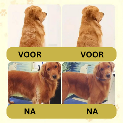 SteamPaws | Your Loyal Canine Companion