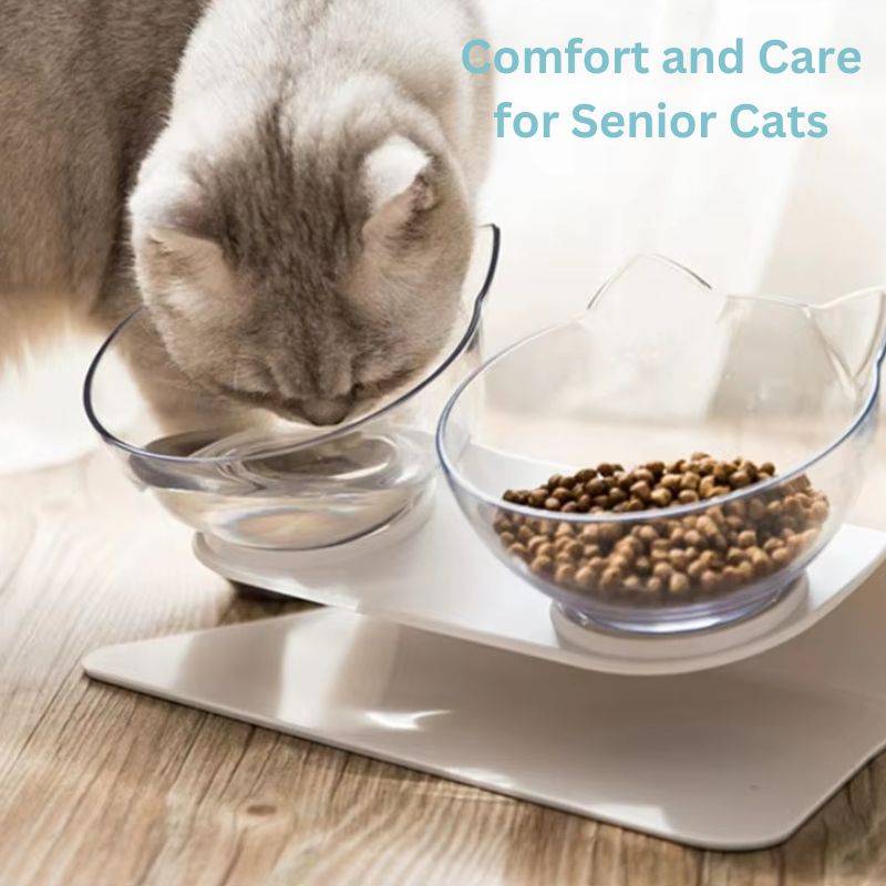 Elevated Cat Bowl for Orthopedic Support