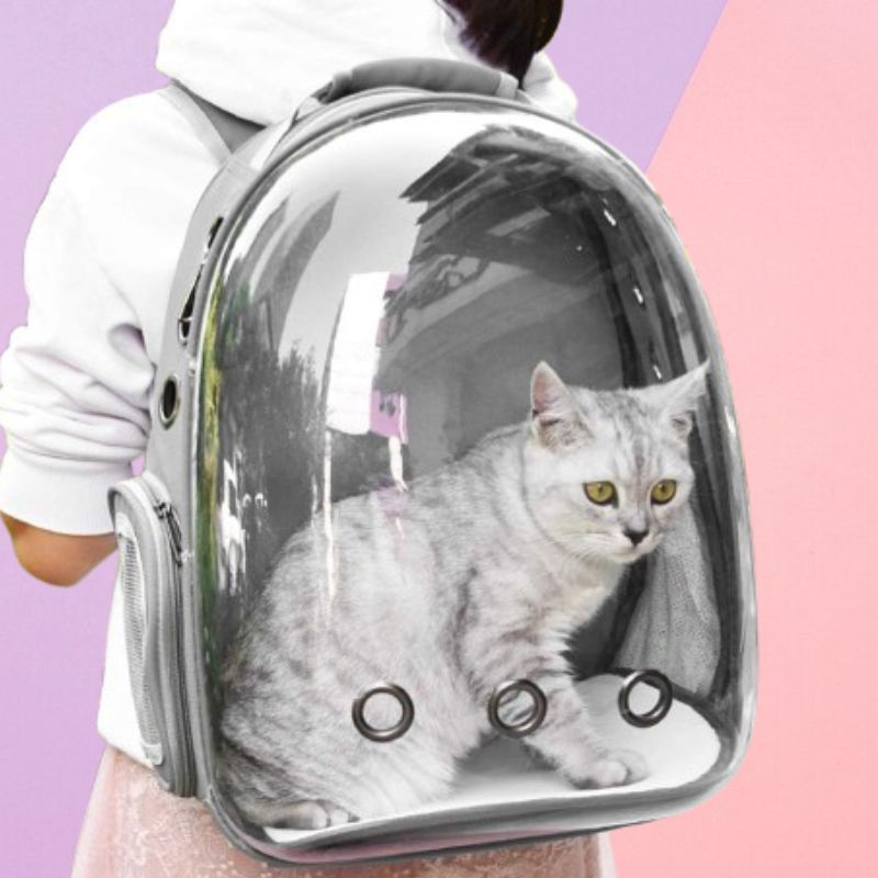 Space Capsule Pet Carrier for Dogs and Cats – Breathable Design