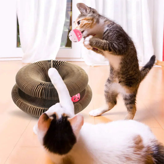 Exciting Play Experience for Your Cat – FelineJoy Sphere