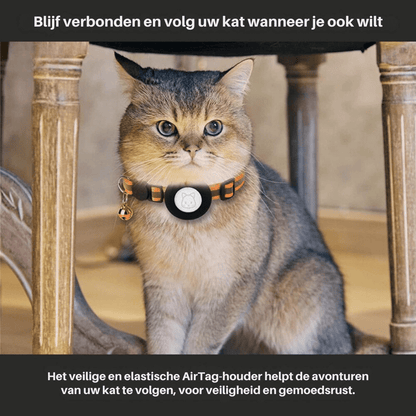 GPS Cat Collar Tracker for Enhanced Safety and Visibility