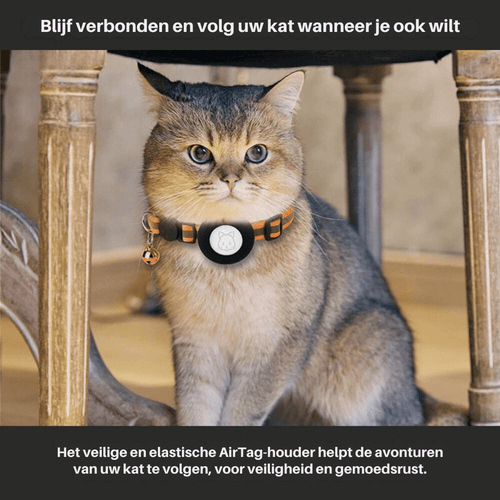 GPS Cat Collar Tracker for Enhanced Safety and Visibility