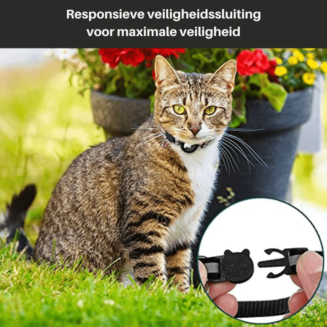 GPS Cat Collar Tracker for Enhanced Safety and Visibility