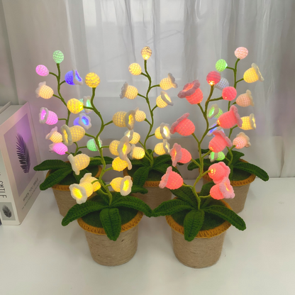 Transform Any Room with Cozy Ambient Lighting