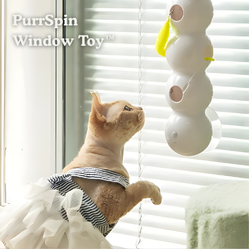 Window Play Station for Cats | 40 cm Interactive Toy