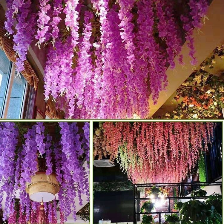 Vibrant, Lush Wisteria Plant that Requires No Watering