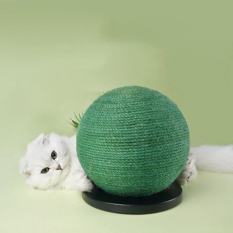 Create a Custom Safe Space for Pets Anywhere