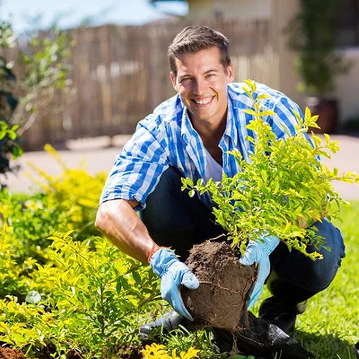Nutrient Booster 60g | Enhances Root Growth & Nutrient Uptake | Ideal for Garden and Potted Plants
