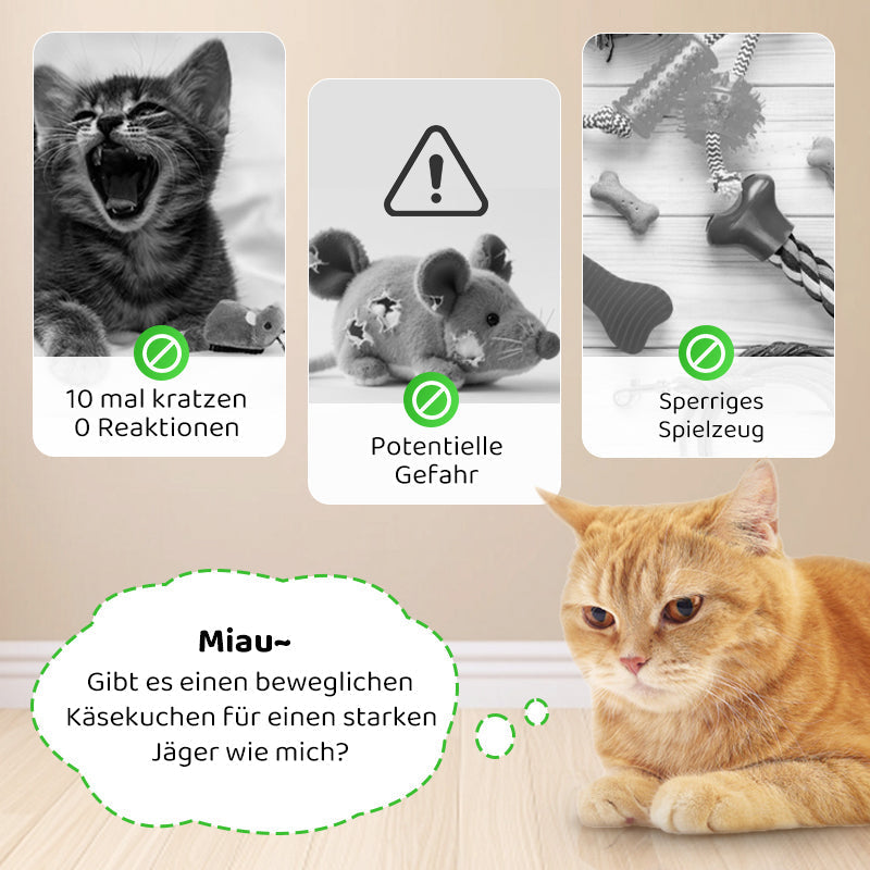 Buy 2 Get 1 Free | CatPlay – Chase, Play, and Enjoy – Fun for Your Cat!