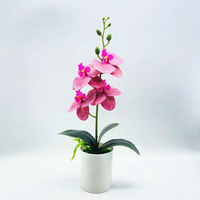 4 Phalaenopsis Pattern Purple