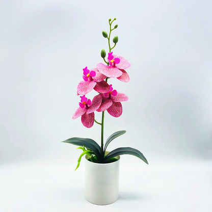 Effortless Elegance with Realistic, Low-Maintenance Orchids